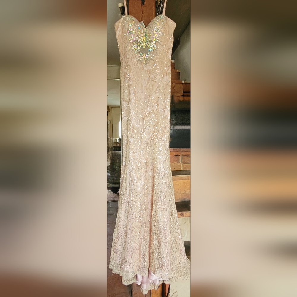 Dave & Johhny beautiful beaded long gown